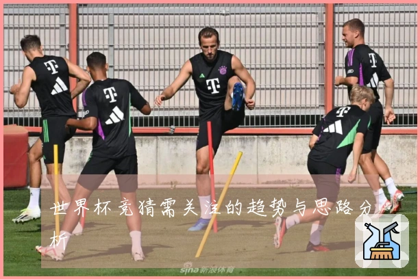 世界杯竞猜需关注的趋势与思路分析