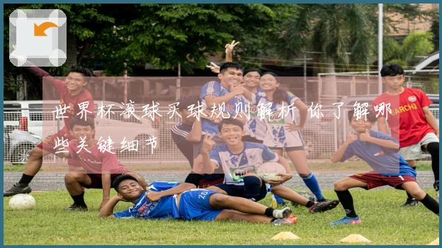 世界杯滚球买球规则解析 你了解哪些关键细节