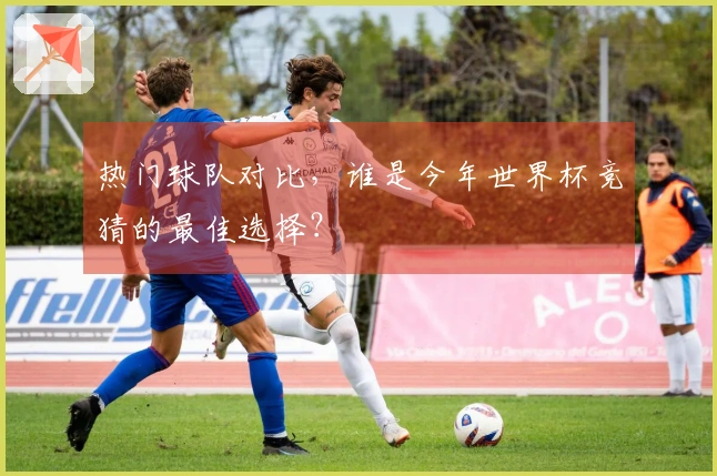 热门球队对比，谁是今年世界杯竞猜的最佳选择？
