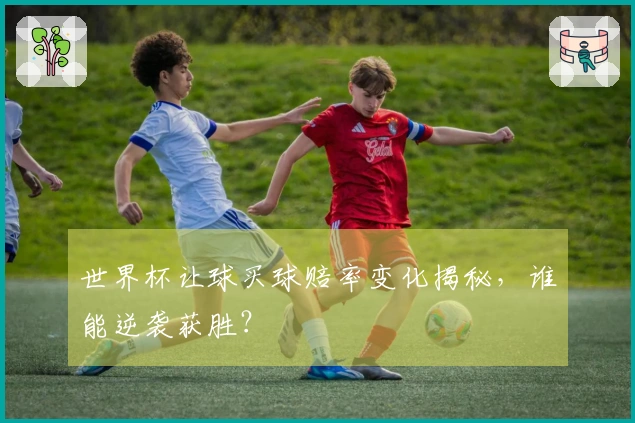 世界杯让球买球赔率变化揭秘，谁能逆袭获胜？