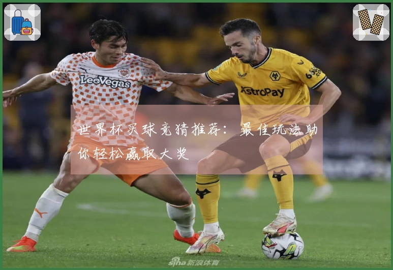 世界杯买球竞猜推荐：最佳玩法助你轻松赢取大奖