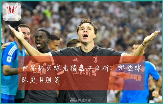 世界杯买球竞猜盘口分析：哪些球队更具胜算