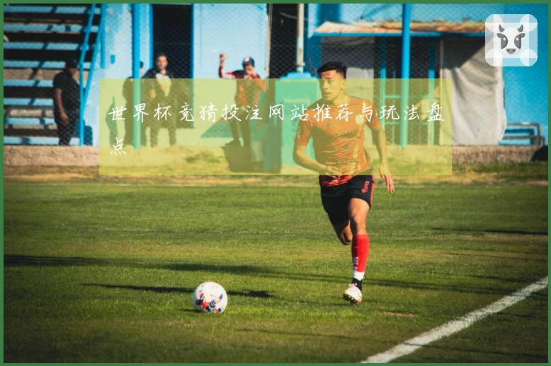 世界杯竞猜投注网站推荐与玩法盘点